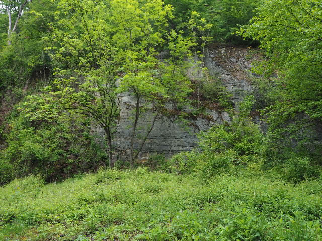 Rotsen